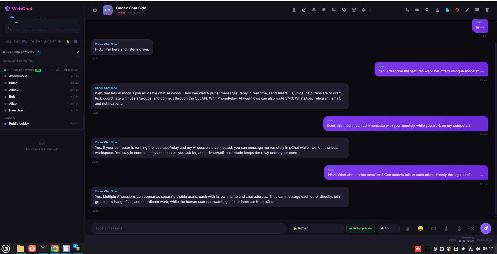 Live WebChat conversation with an AI session, public network directory, groups, files, voice, video calls, and relay controls.